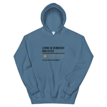 Load image into Gallery viewer, Living In Democrat Cities Hoodie