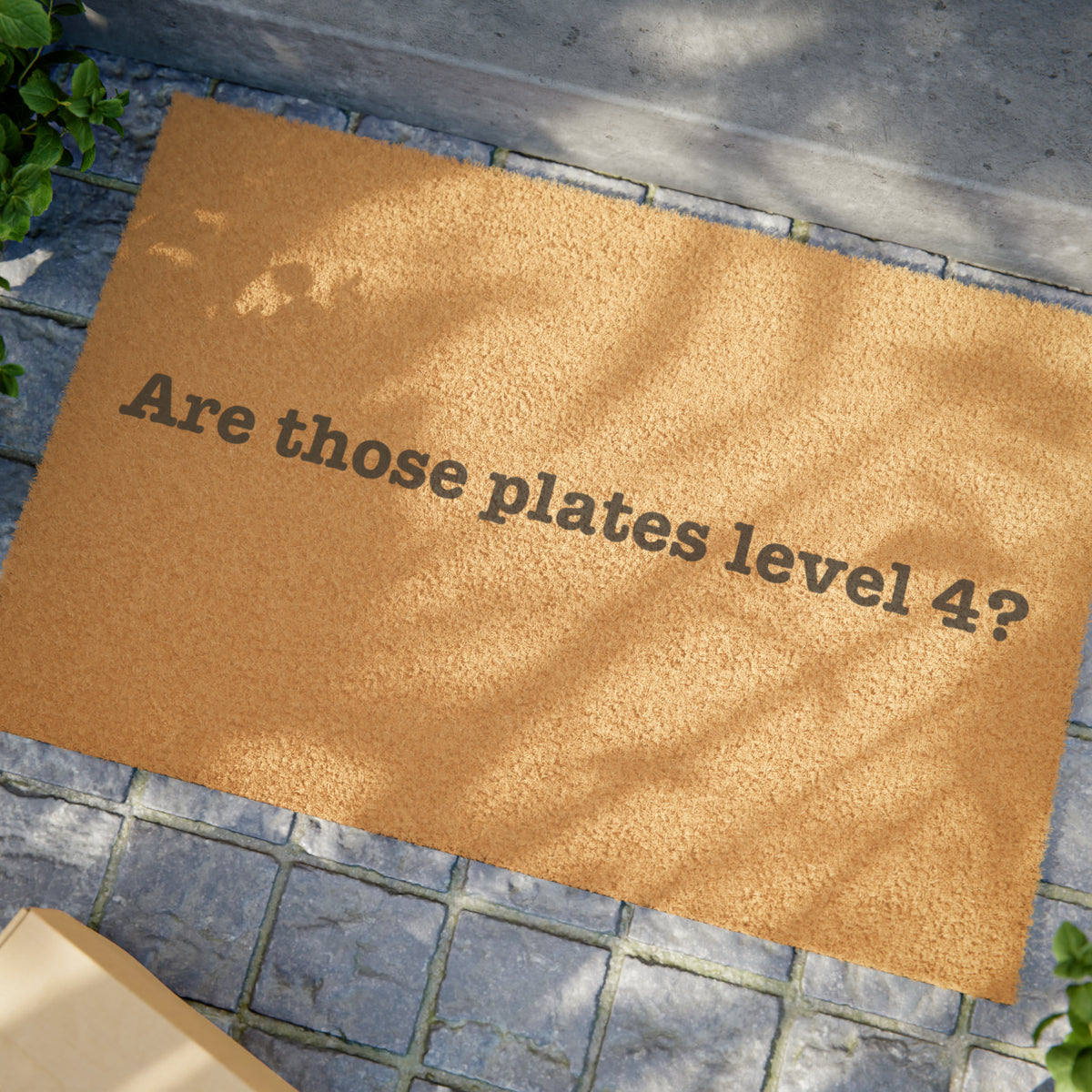 Are Those Plates Level 4? Coconut Fiber Doormat