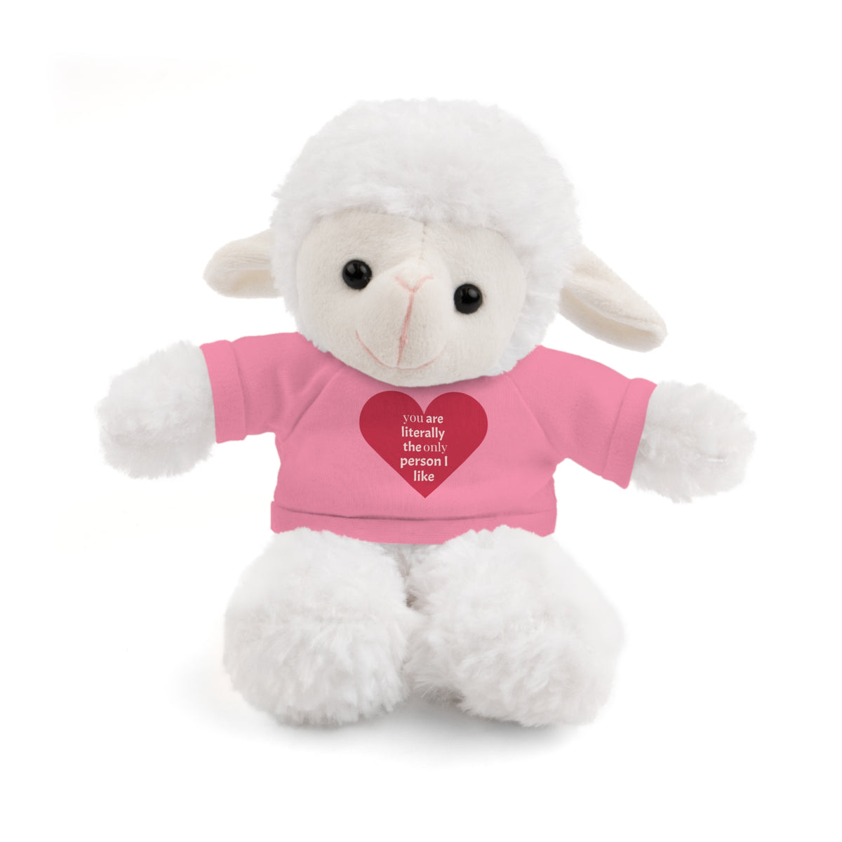 "You're Literally The Only Person I Like" Stuffed Animal with Tee