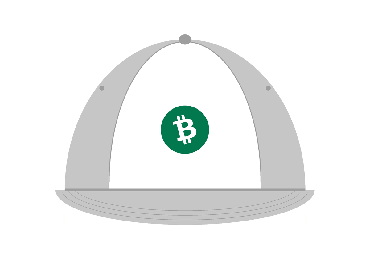 Bitcoin Cash BCH Embroidered Dad Hat (design mockup)