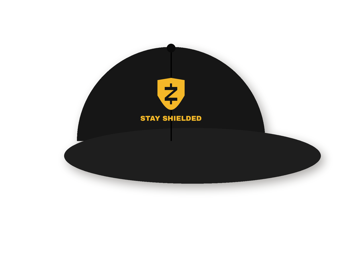 Stay Shielded Embroidered Dad Hat (design mockup)