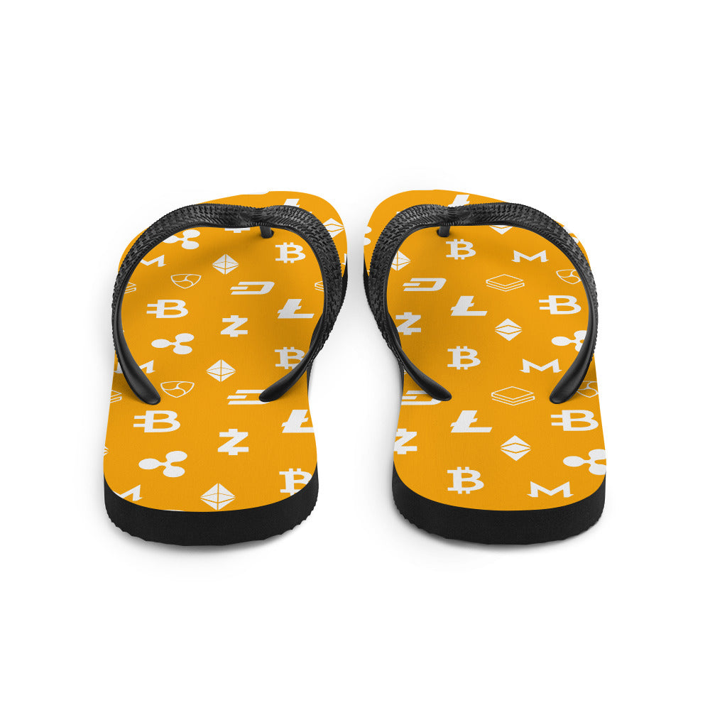 Nakamoto Slides