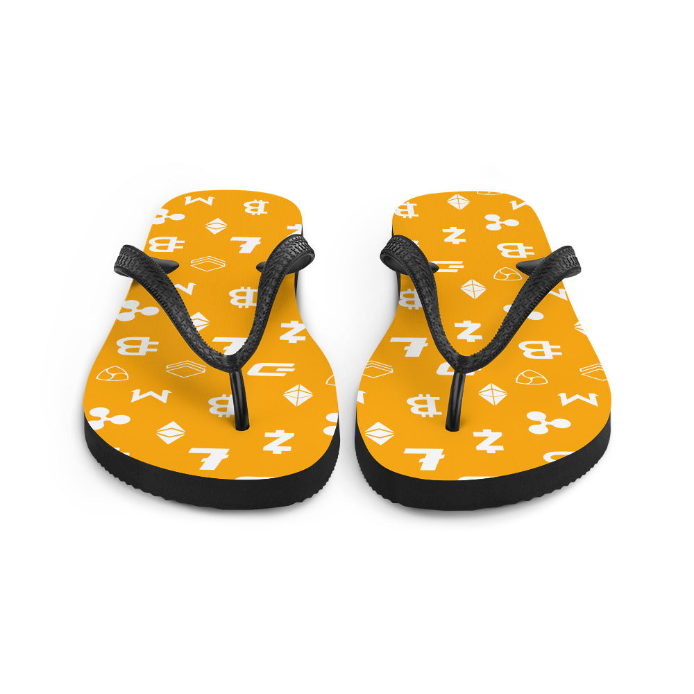 Nakamoto Slides