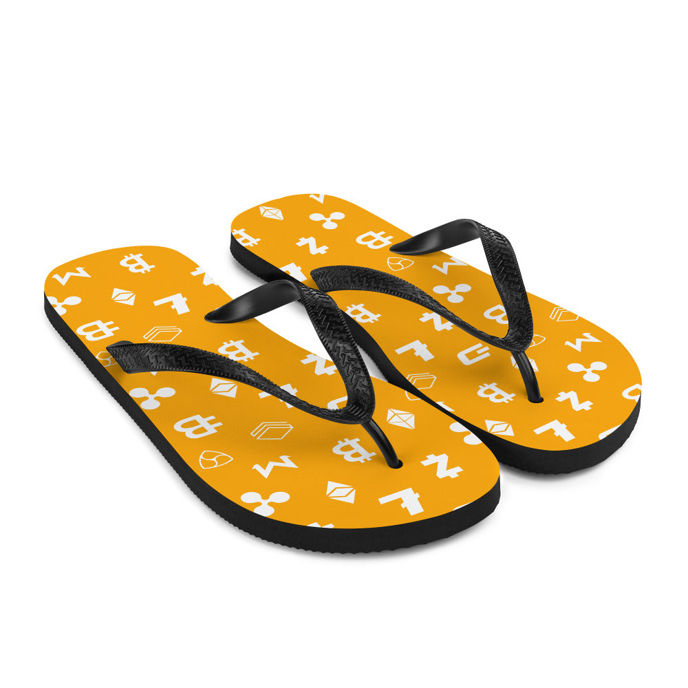 Nakamoto Slides
