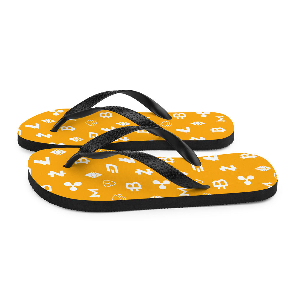 Nakamoto Slides