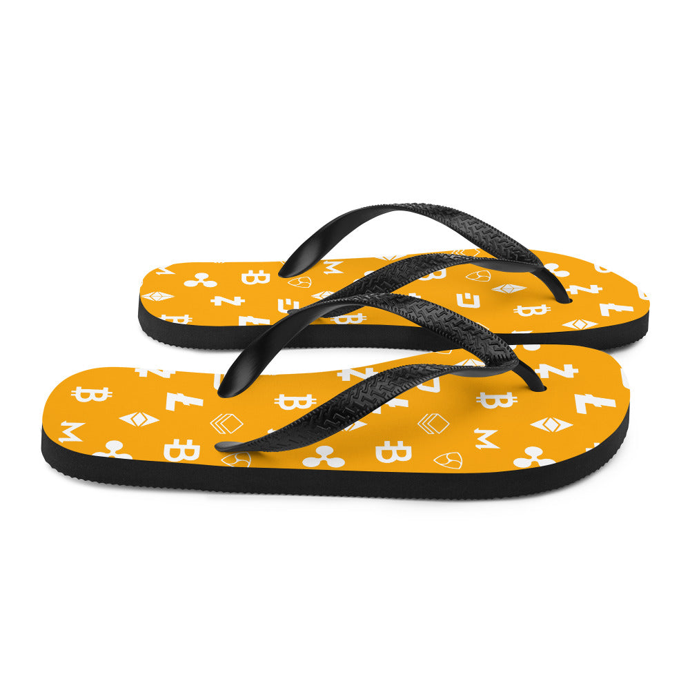 Nakamoto Slides