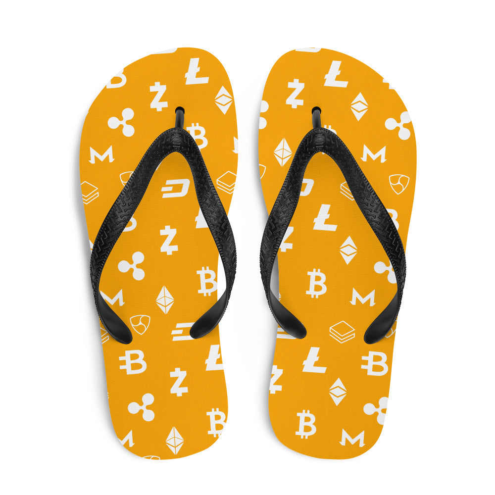 Nakamoto Slides