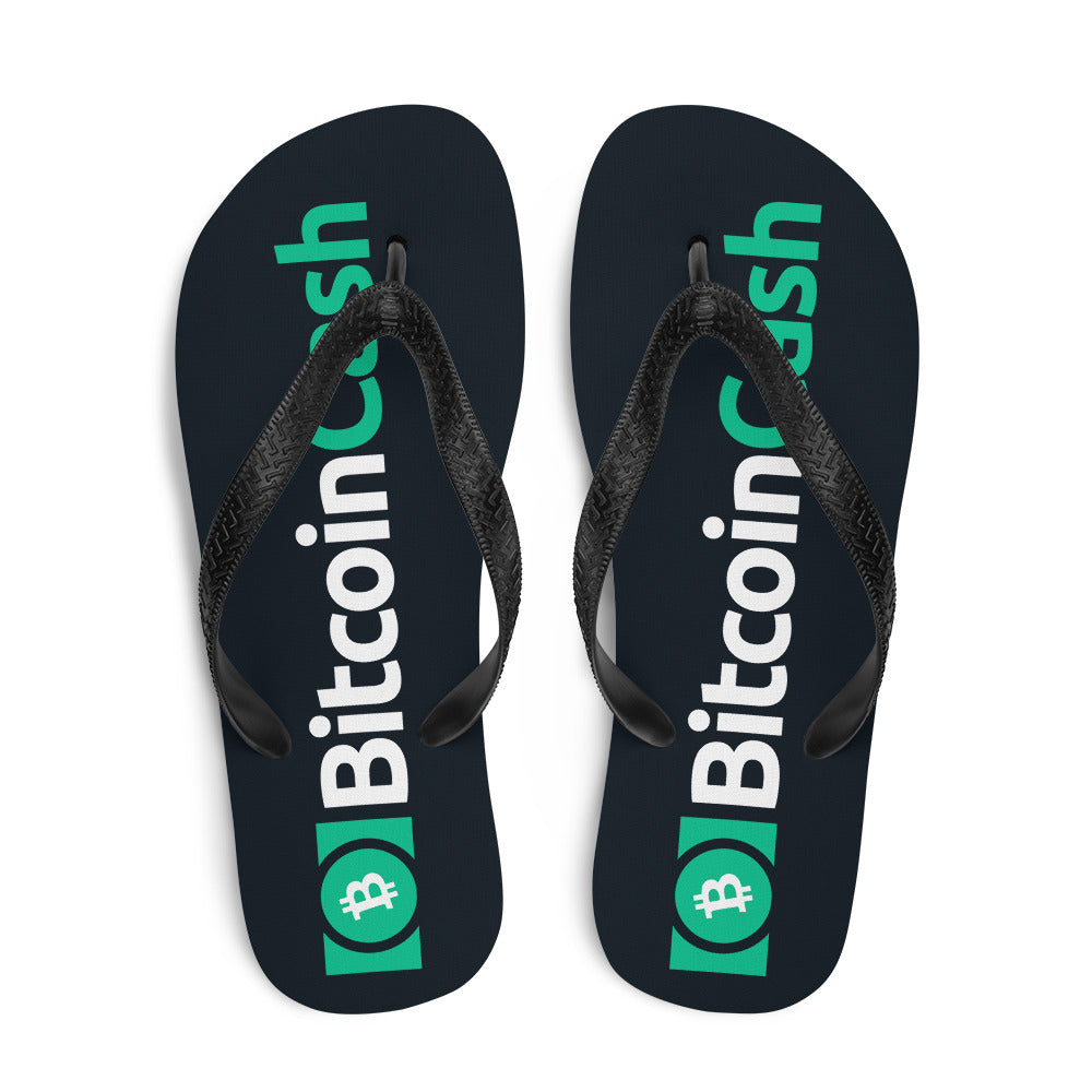 Bitcoin Cash Slides