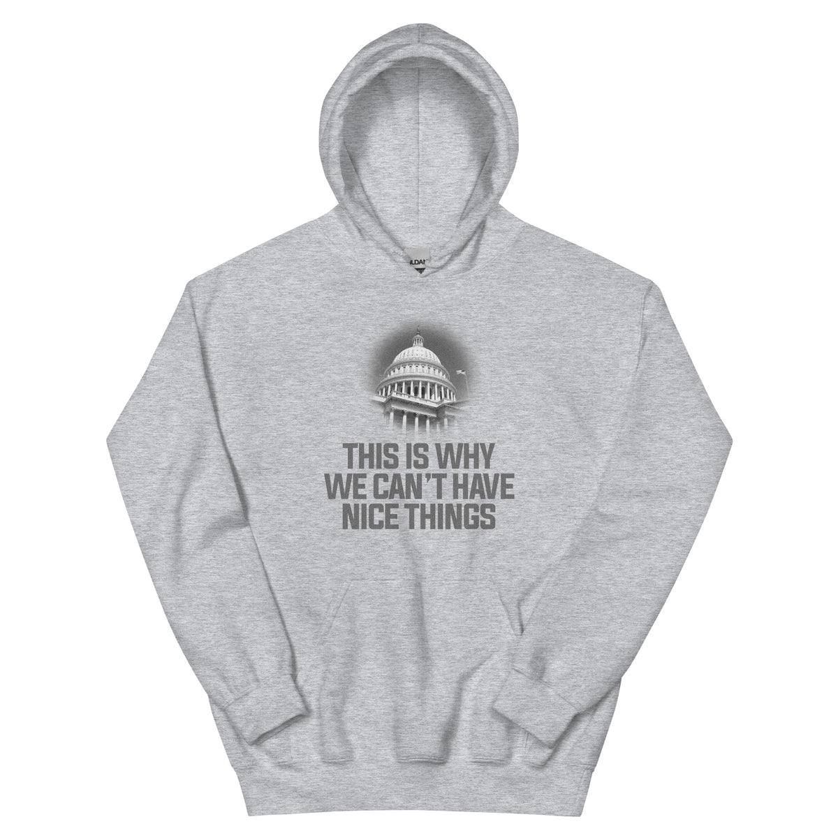 This Is Why We Can't Have Nice Things Hoodie